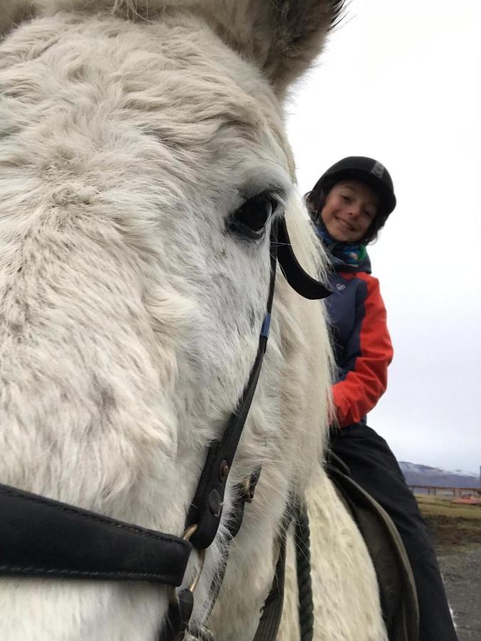Húsey Hostel&Horsefarm Egilsstaðir Eksteriør bilde