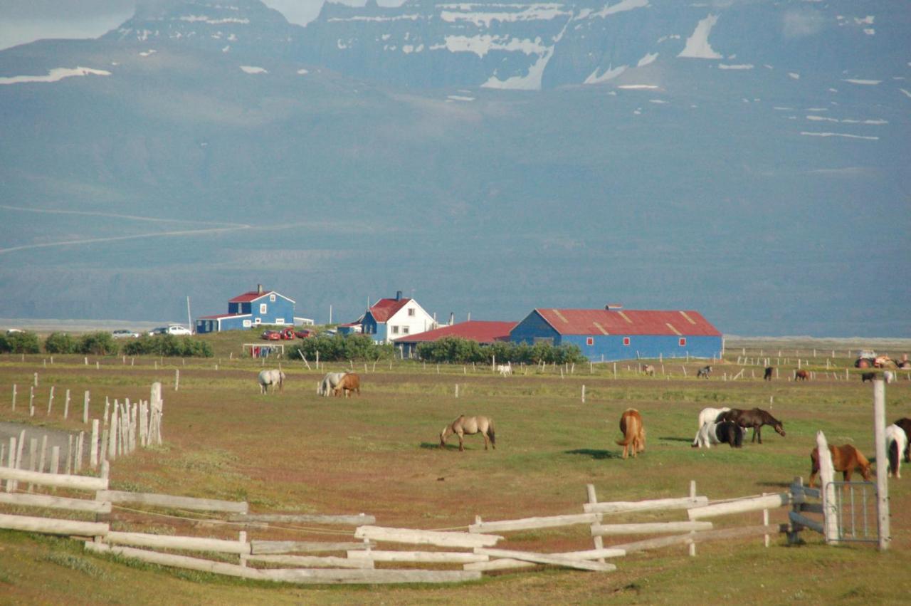 Húsey Hostel&Horsefarm Egilsstaðir Eksteriør bilde