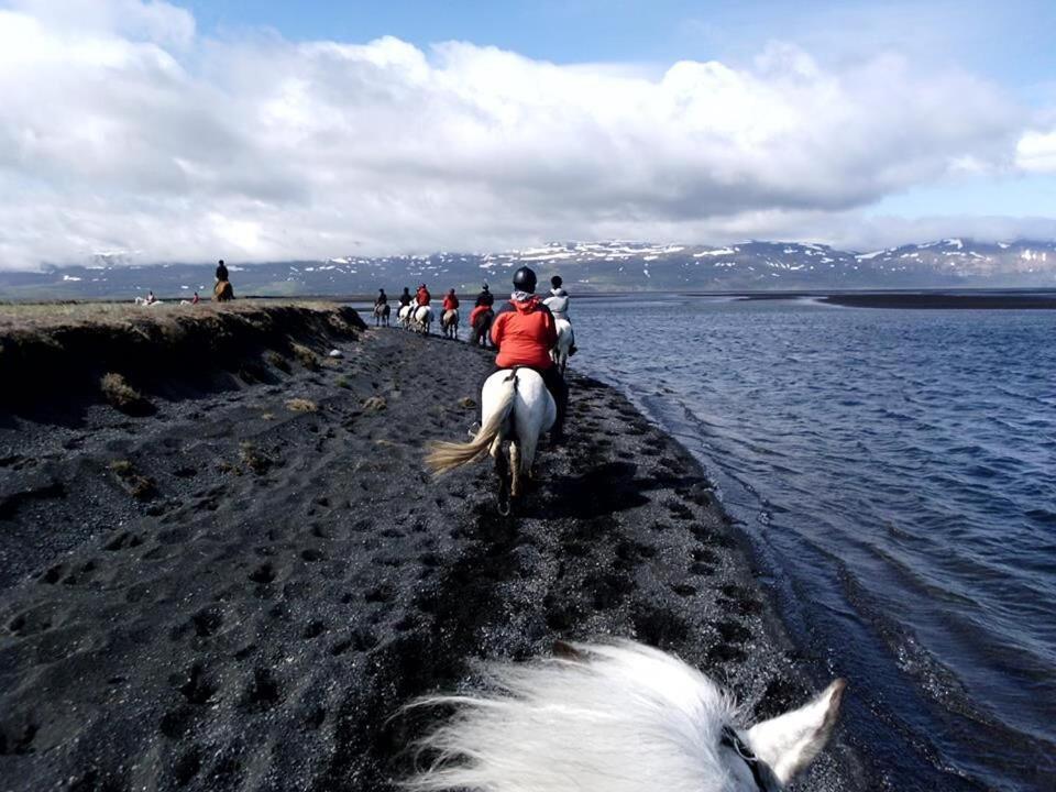 Húsey Hostel&Horsefarm Egilsstaðir Eksteriør bilde