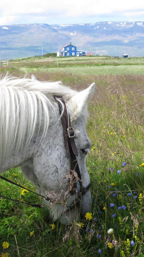 Húsey Hostel&Horsefarm Egilsstaðir Eksteriør bilde