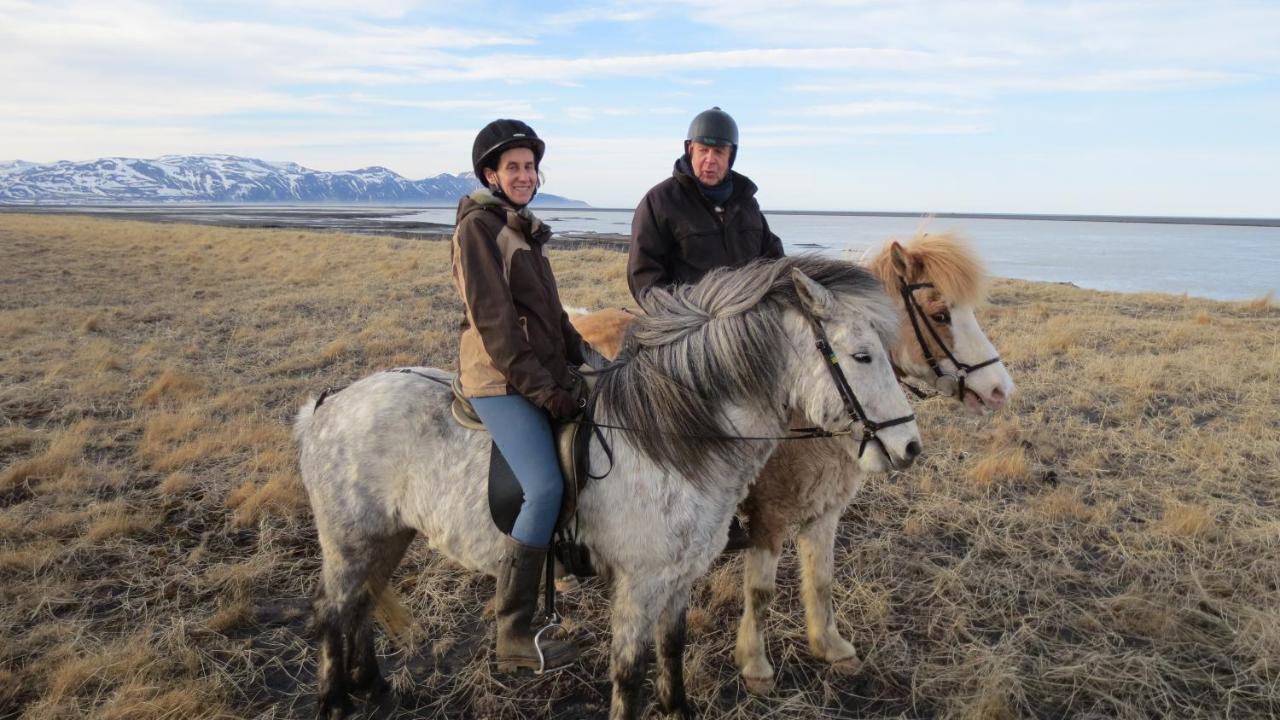 Húsey Hostel&Horsefarm Egilsstaðir Eksteriør bilde