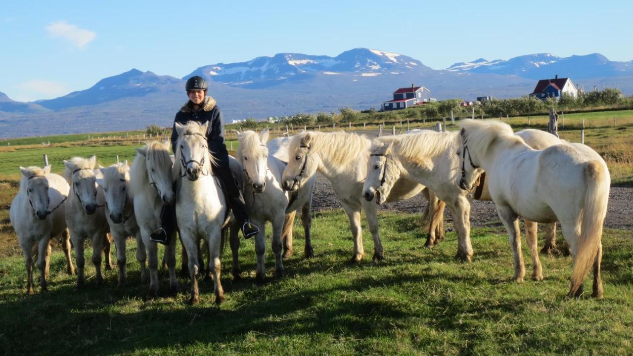 Húsey Hostel&Horsefarm Egilsstaðir Eksteriør bilde